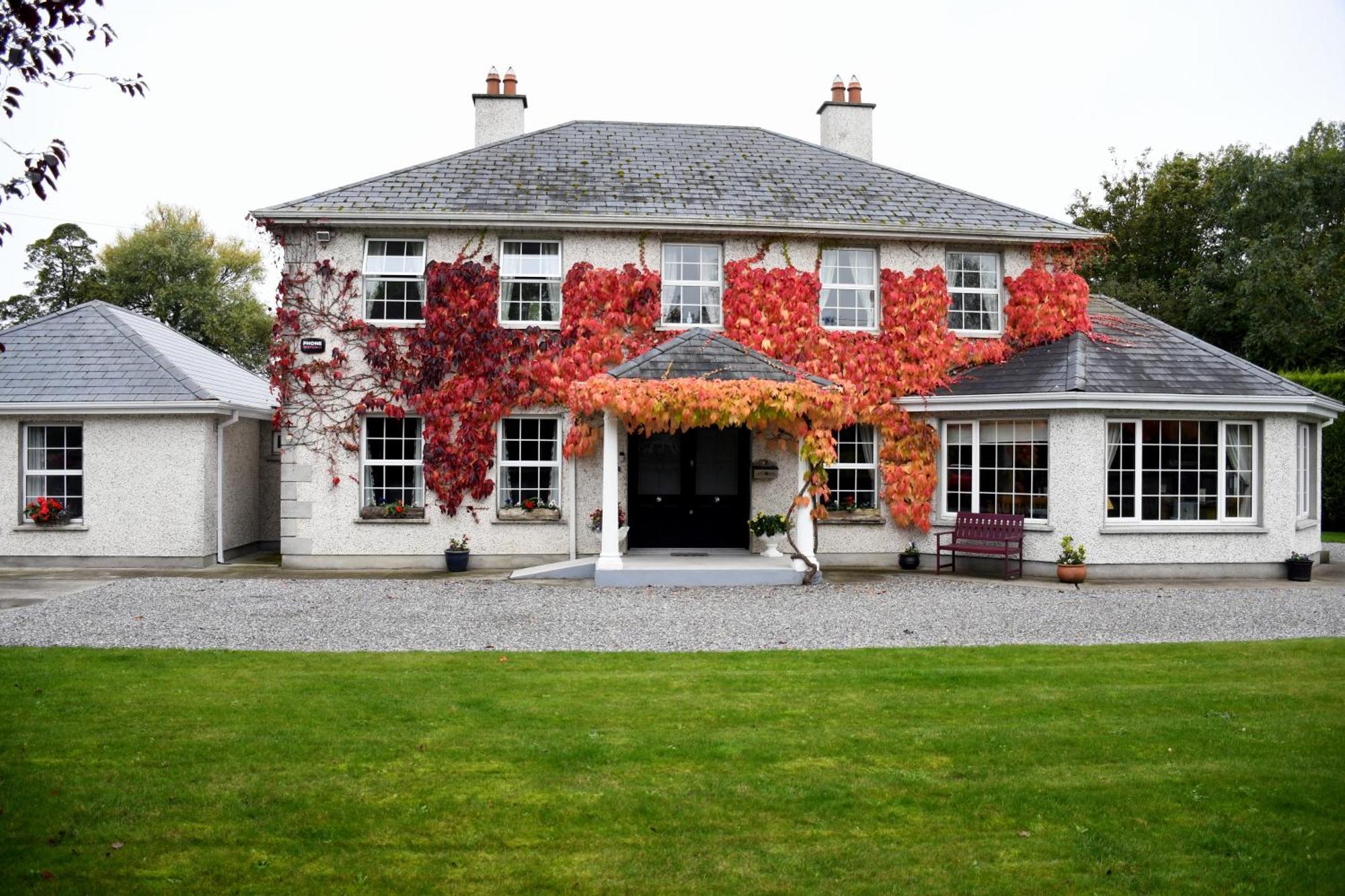 Orchard Grove Bed & Breakfast R21Rc58 Bagenalstown Kültér fotó