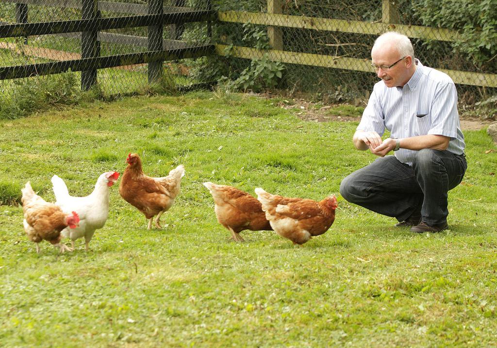 Orchard Grove Bed & Breakfast R21Rc58 Bagenalstown Kültér fotó