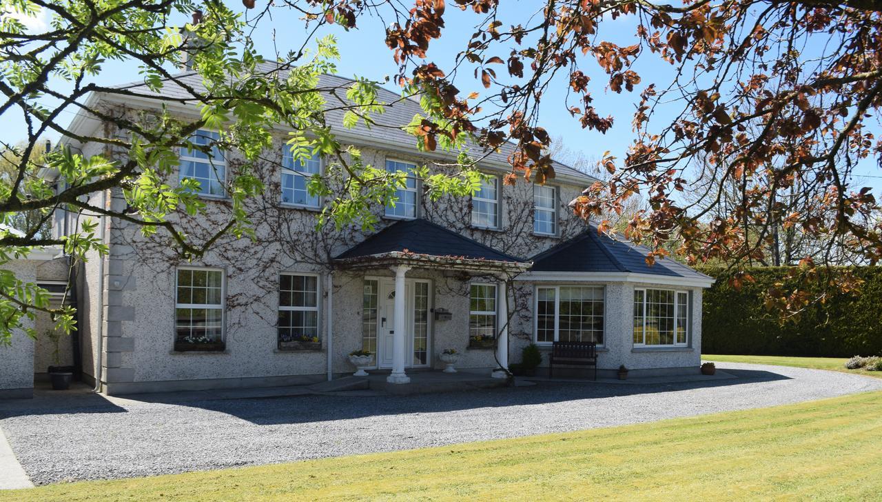 Orchard Grove Bed & Breakfast R21Rc58 Bagenalstown Kültér fotó