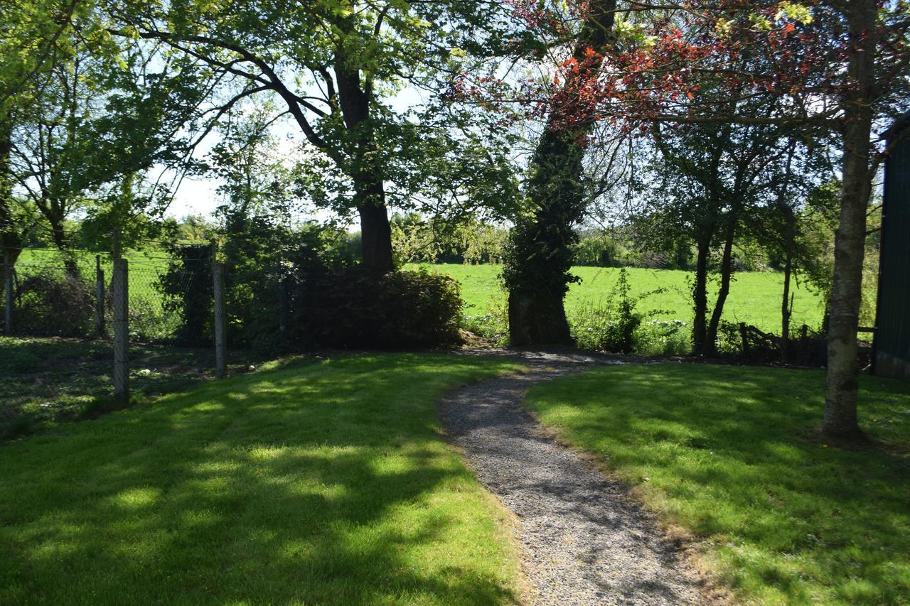 Orchard Grove Bed & Breakfast R21Rc58 Bagenalstown Kültér fotó