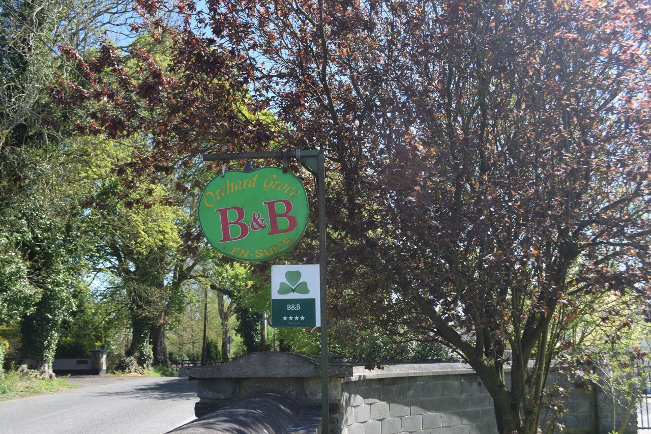 Orchard Grove Bed & Breakfast R21Rc58 Bagenalstown Kültér fotó